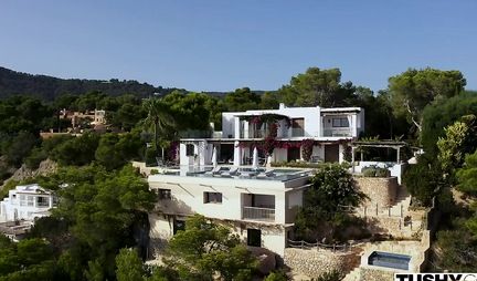 A brunette in a pose of cancer sucks a penis and substitutes an ass for anal with her lover