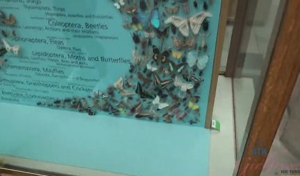 The girl came to the guys house for homemade porn close-up