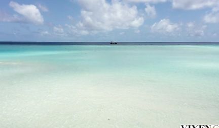 The blonde polished a big dick with her lips and climbed on top of it