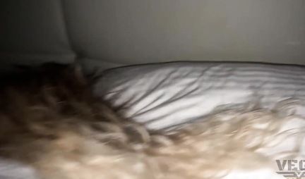 Russian sleeping girl became the star of group homemade porn on the bed