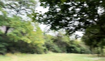 The blonde gave the first comer in anal right in the car