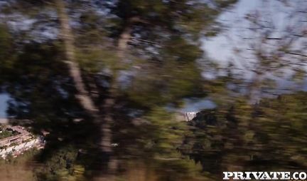 The red chick was pulled with holes on two trunks at once