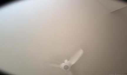 Tattooed bitch sucks cock perfectly in POV video