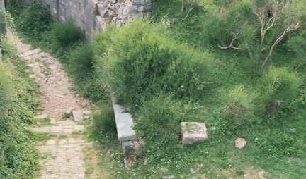 The guys took the girls to nature and fried in butt