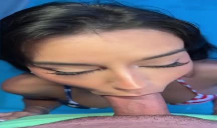 Beauty gives excellent blowjob in POV porn video
